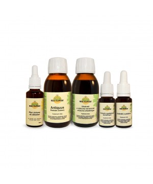 Zestaw nr 3 A dla dzieci na...