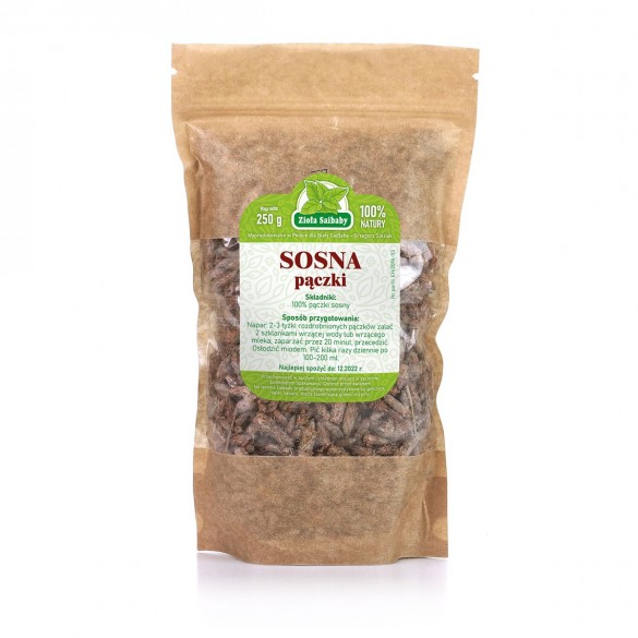 Sosna pączki 250g