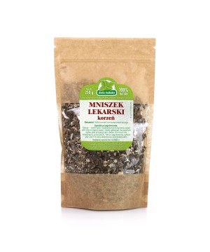 Mniszek lekarski korzeń