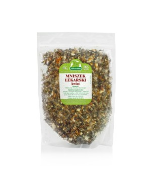 Mniszek lekarski kwiat