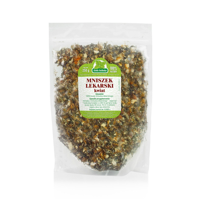 Mniszek lekarski kwiat