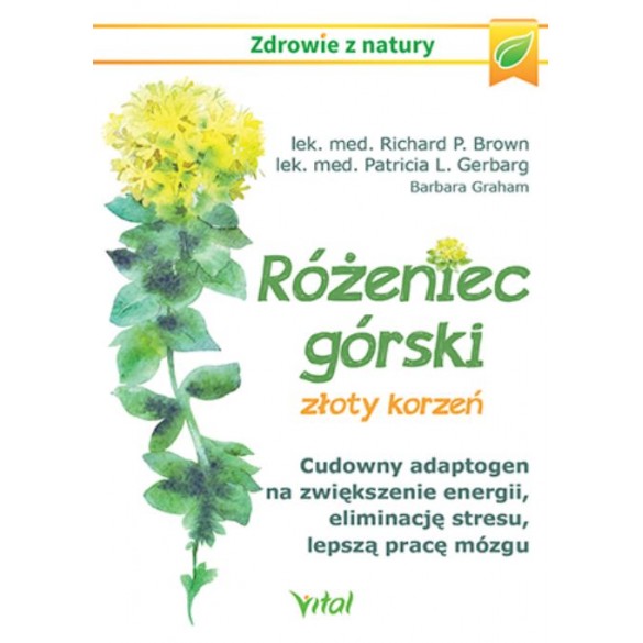 Różeniec górski – złoty korzeń. Cudowny adaptogen na zwiększenie energii, eliminację stresu, lepszą pracę mózgu D,D4