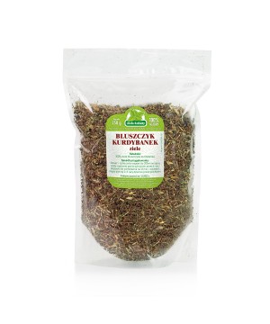 Bluszczyk kurdybanek kumdran