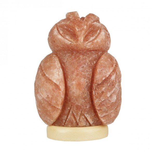 Sowa - Lampa solna rzeźba naturalny jonizator powietrza sól kłodawska 6