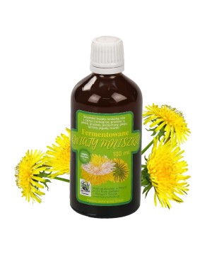 Fermentowane Kwiaty Mniszka