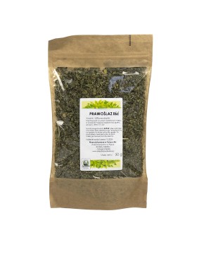 Prawoślaz liść 50g OF
