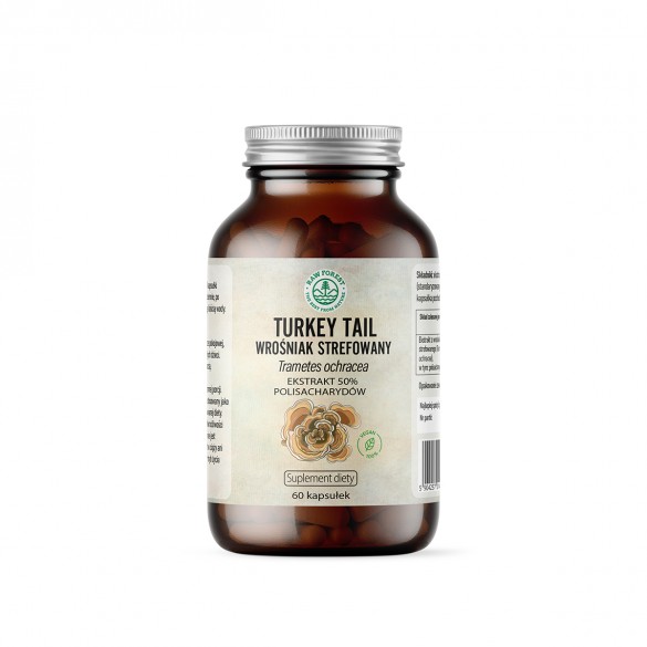 Turkey Tail - ekstrakt 50% polisacharydów - suplement diety - 60 kapsułek - RawForest