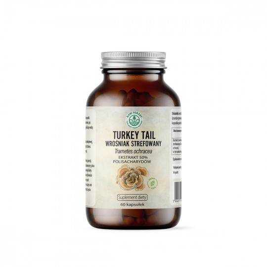 Turkey Tail - ekstrakt 50% polisacharydów - Suplement diety - RawForest - 6164