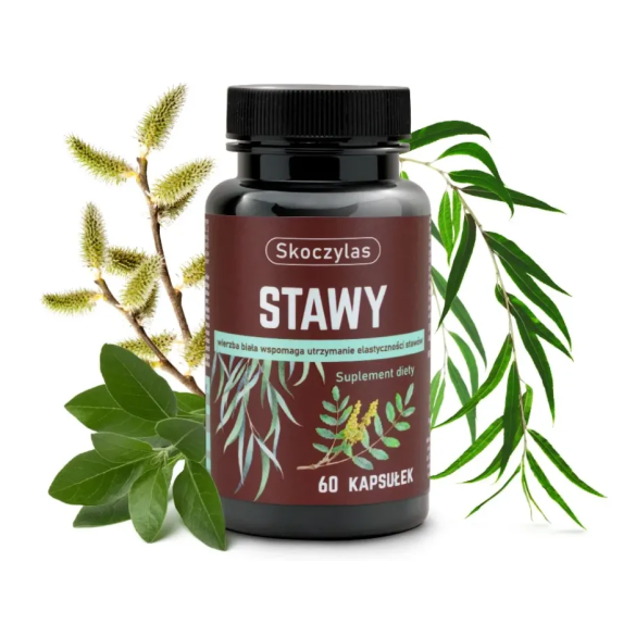 STAWY kadzidłowiec, wierzba, ashwagandha, sosna