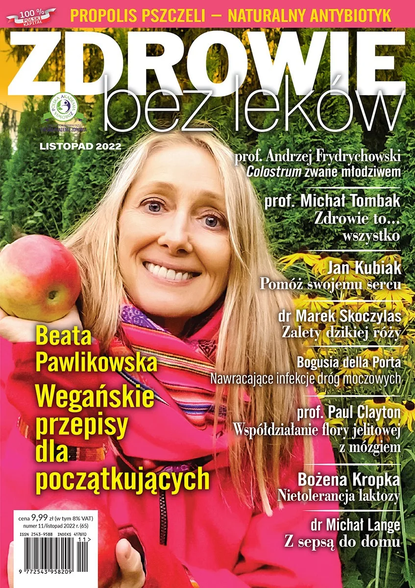nr 11/2022