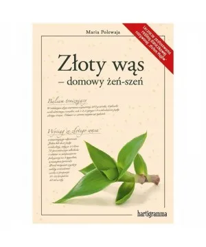 Złoty wąs – domowy żeń-szeń - Maria Polewaja
