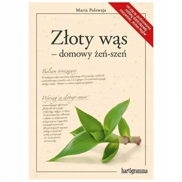 Złoty wąs – domowy żeń-szeń - Maria Polewaja