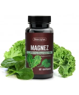 Magnez 4 formy + B6 - szpinak, jarmuż - suplement diety - 60 kapsułek - SKOCZYLAS