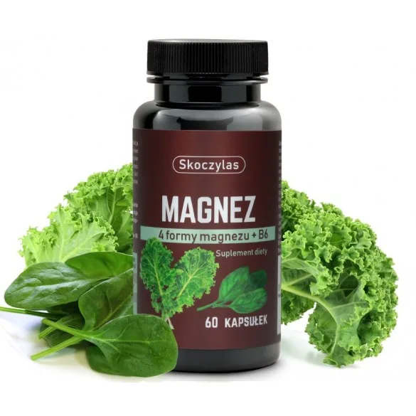 Magnez 4 formy + B6 - szpinak, jarmuż - suplement diety - 60 kapsułek - SKOCZYLAS