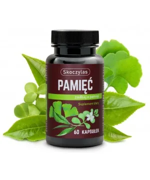 Pamięć - suplement diety - 60 kapsułek - Skoczylas