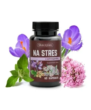NA STRES ashwagandha, szafran, kozłek lekarski