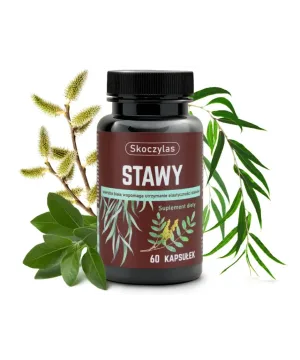 STAWY kadzidłowiec, wierzba, ashwagandha, sosna