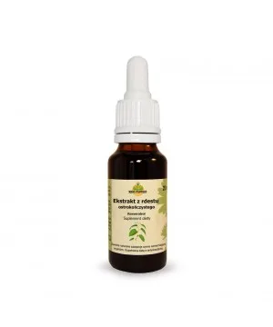 Ekstrakt z rdestu ostrokończystego, Resveratrol, suplement diety