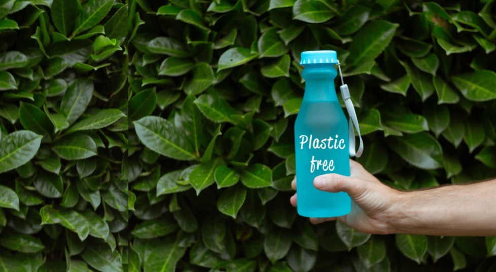 Od plastikowych butelek do plomb dentystycznych – wszędobylski bisfenol A