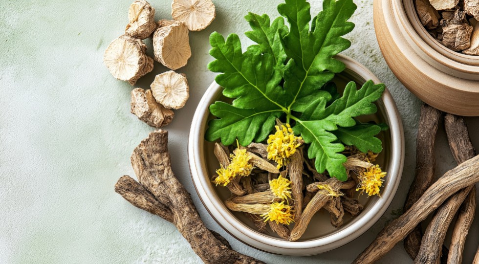 Ashwagandha i rhodiola w walce z osłabieniem