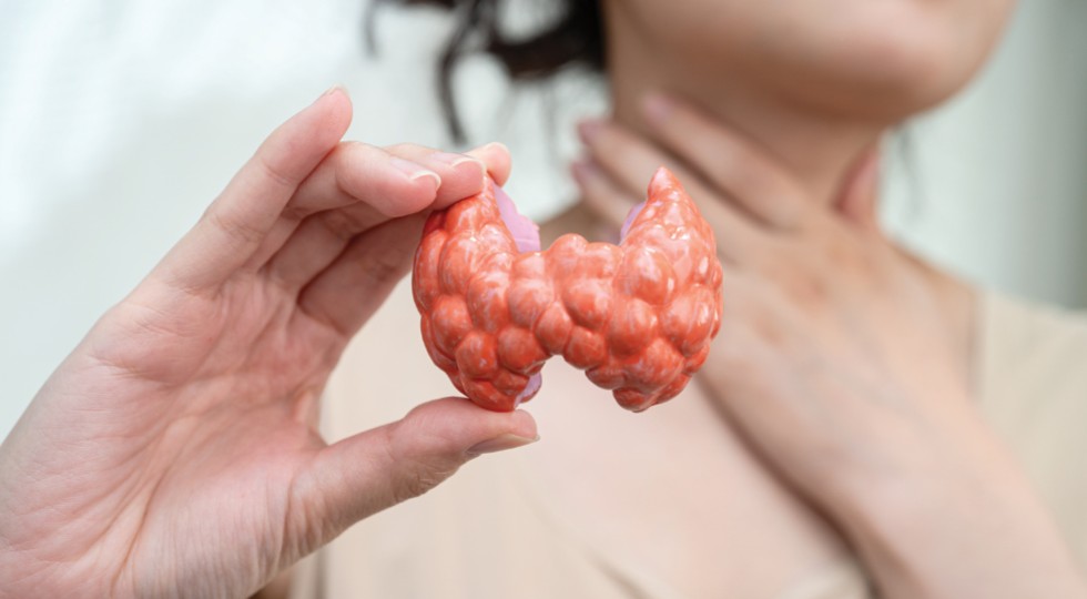 Tarczyca, mitochondria i nadnercza – triada dla twojego zdrowia