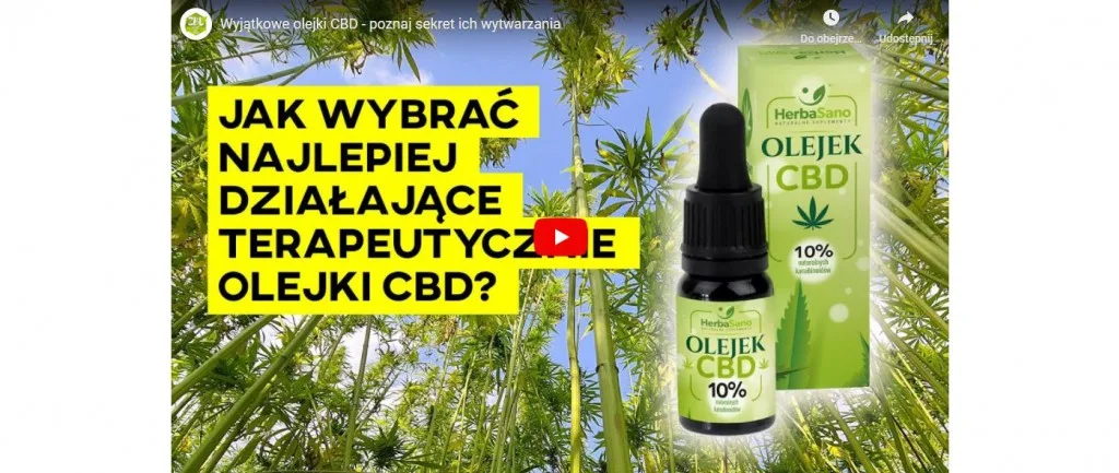 Jak wybrać najlepiej działające terapeutyczne olejki CBD