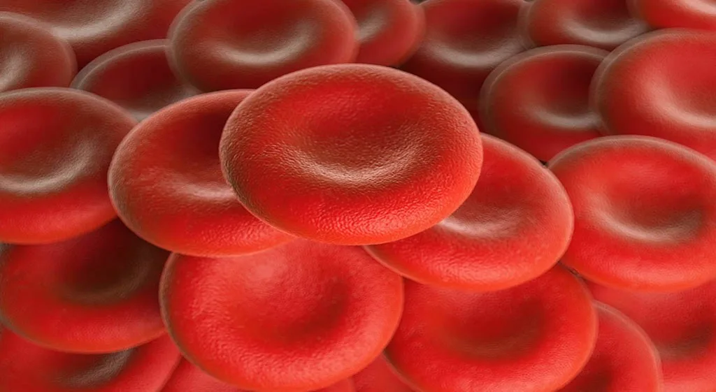 Choroba Buergera – zakrzepowo-zarostowe zapalenie naczyń
