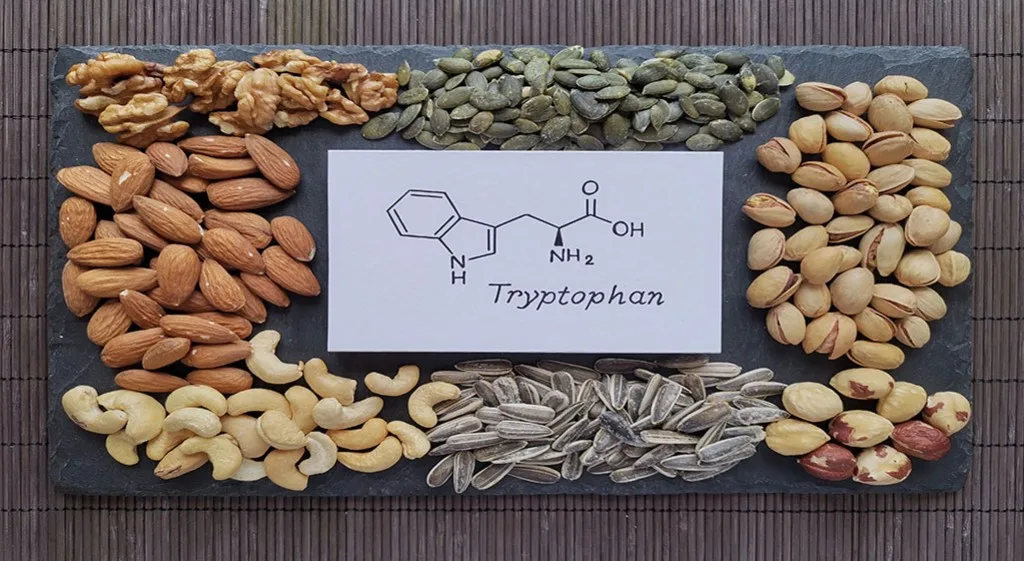 Tryptofan - cenny dla zdrowia aminokwas