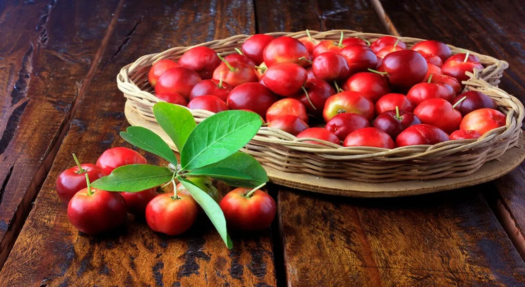 Acerola - "kuzynka" wiśni