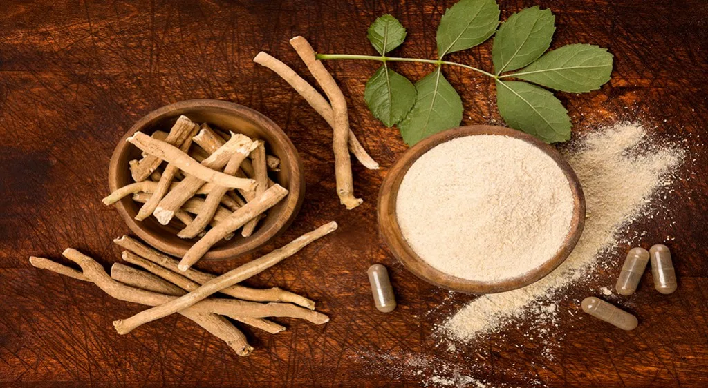 Ashwagandha - indyjski żeń-szeń