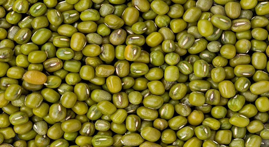 Fasolka mung