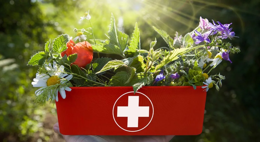 Top 3 preparatów naturalnego pochodzenia w Twojej wakacyjnej apteczce