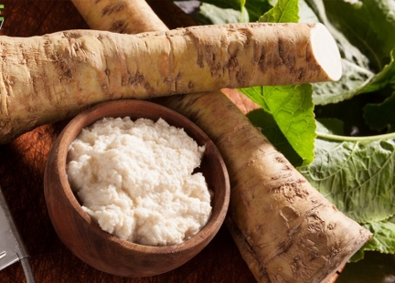 Chrzan pospolity – Armoracia lapathifolia Gilibert
