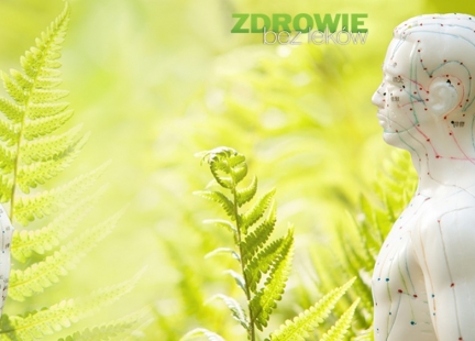 Energoinformacyjna struktura człowieka w pigułce
