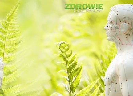 Energoinformacyjna struktura człowieka w pigułce