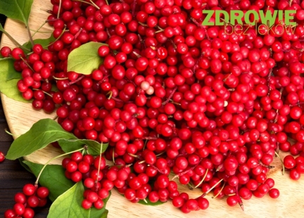 Cytryniec chiński – zioło adaptogenne, prokognitywne, przeciwdepresyjne