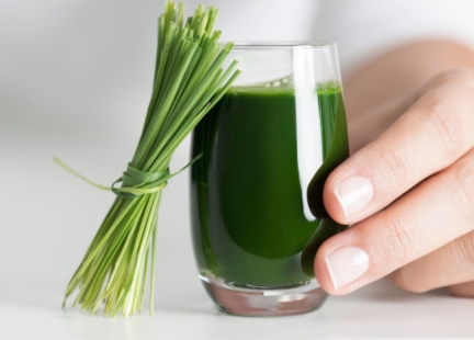 Trawa pszeniczna – zielone superfood