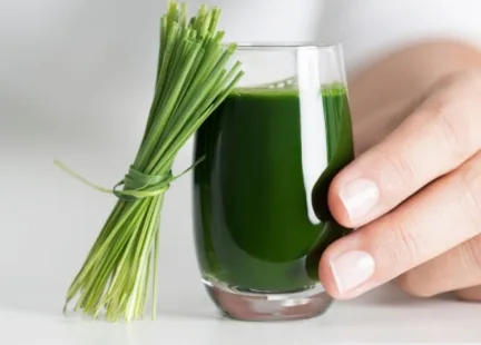 Trawa pszeniczna – zielone superfood