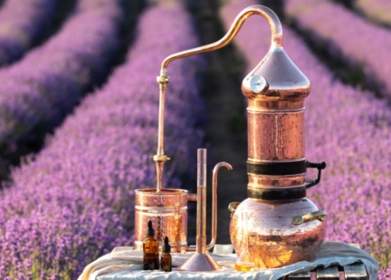 Aromaty z Alembika