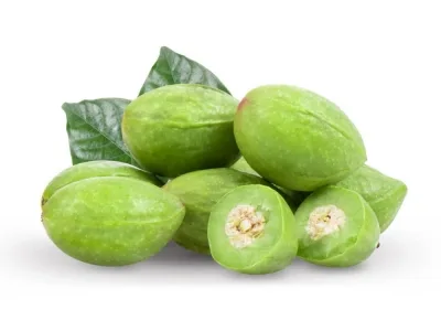 HARITAKI (Terminalia chebula)