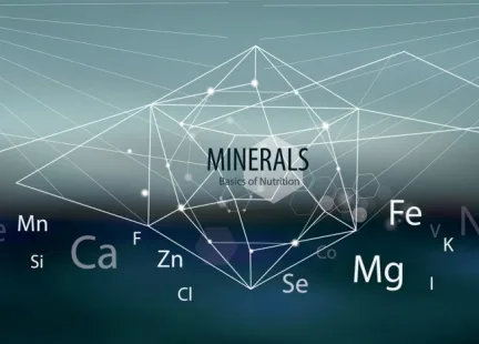Składniki mineralne
