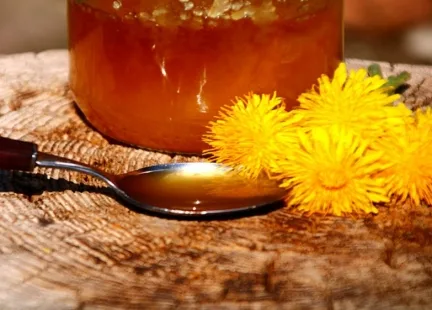 Czas na syropy – syrop z kwiatów mniszka lekarskiego (Taraxacum vulgare)
