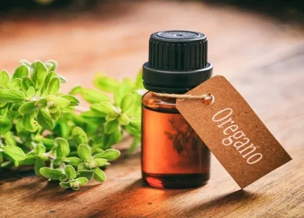 Olejek oregano