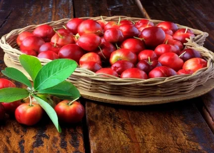 Acerola - "kuzynka" wiśni