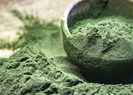 Chlorella - lecznicza alga
