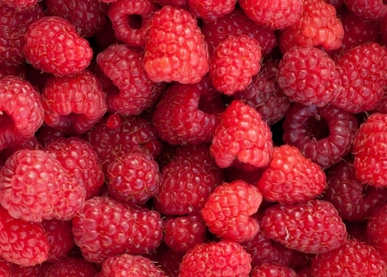 Maliny