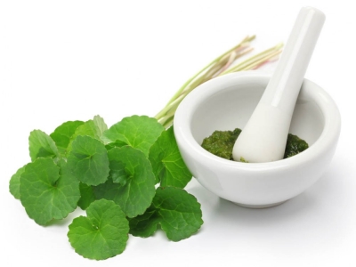Gotu kola