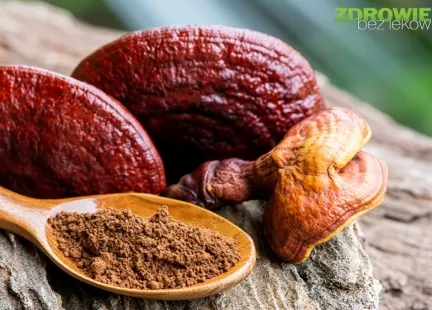 Kawa z reishi – dwa w jednym
