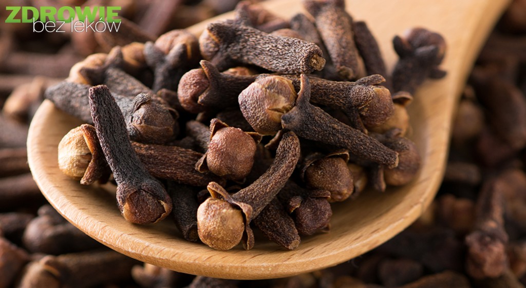 Goździki – od święta i… na co dzień