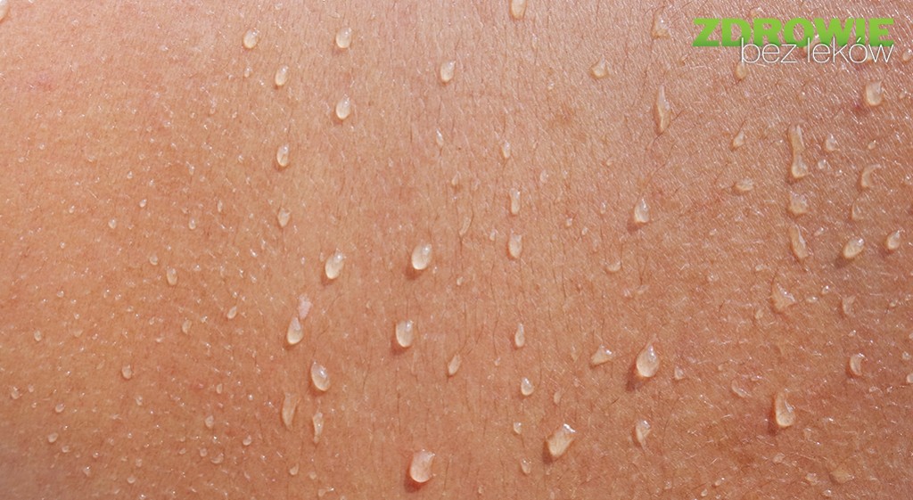 Z czego zbudowana jest nasza skóra